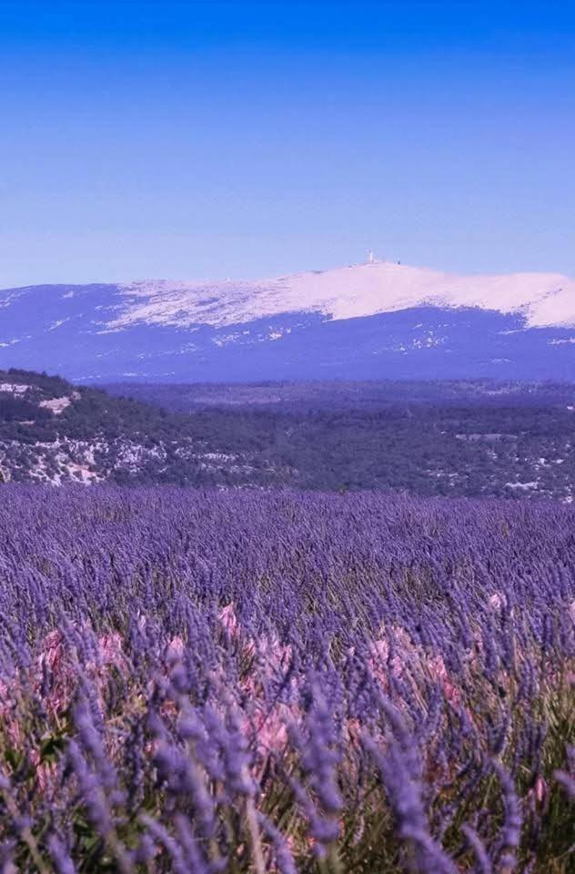La Fee Viviane Et Michel L'Enchanteur Robion en Luberon Екстер'єр фото